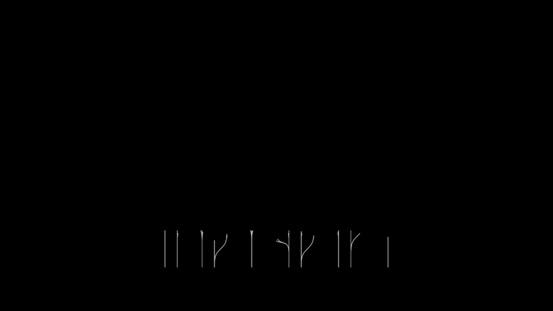 Non-linear Anim