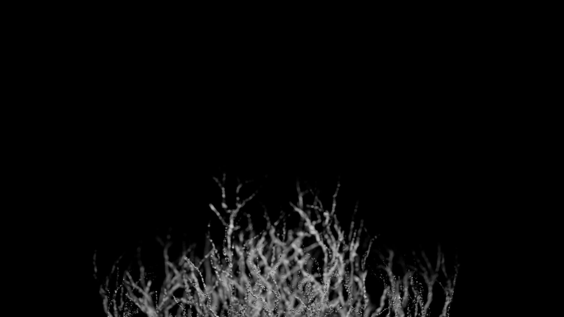 Velocity Volumes